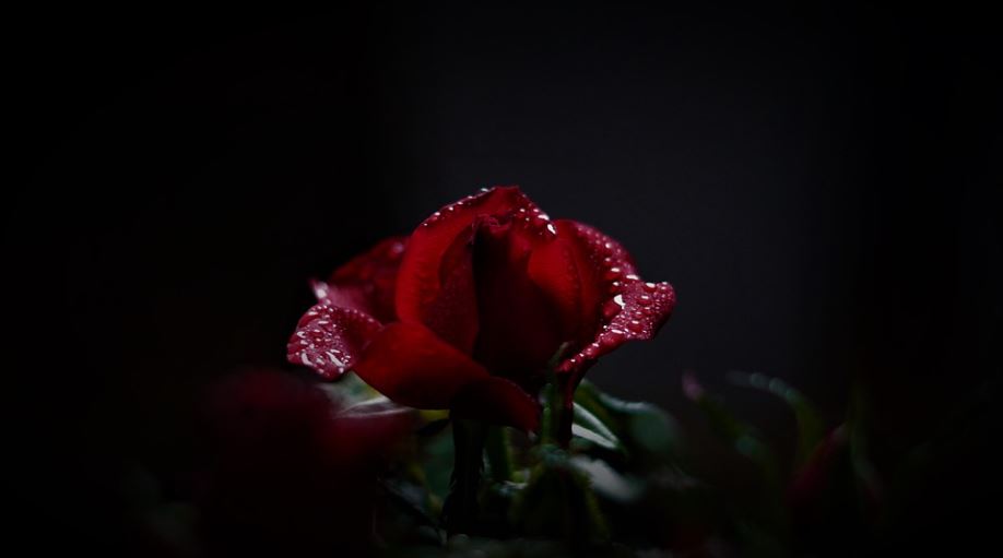 What’s Polite At A Funeral McVeigh Funeral Home, Inc.