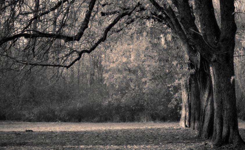 Burial Is Still An Option McVeigh Funeral Home, Inc.