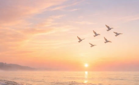 funeral homes in Loudonville, NY