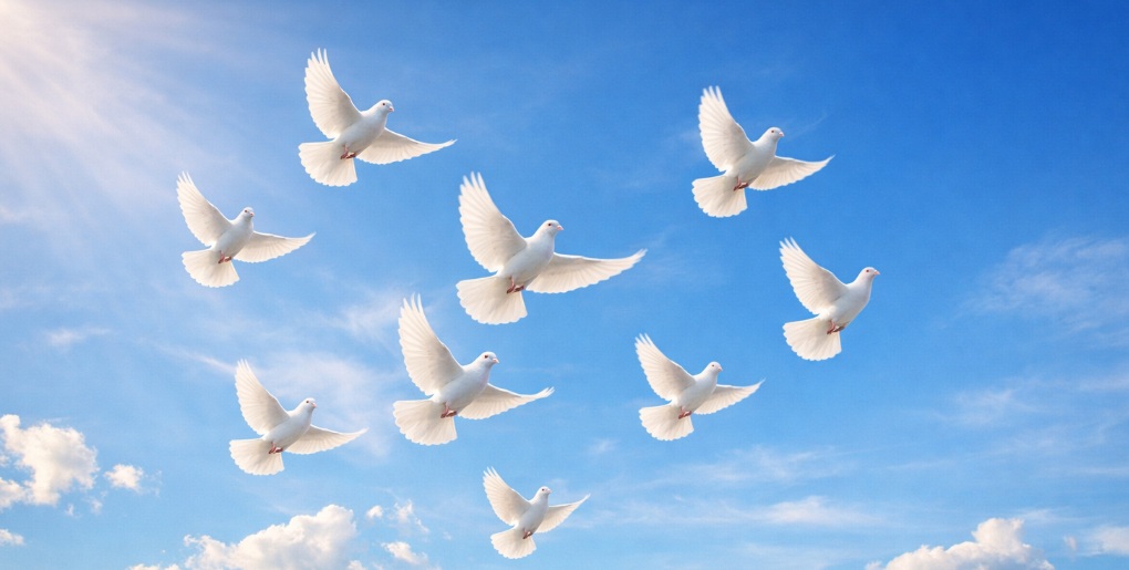 White doves flying upward into a bright blue sky with soft clouds and sunlight, symbolizing peace and remembrance, inspired by services from funeral homes Colonie, NY